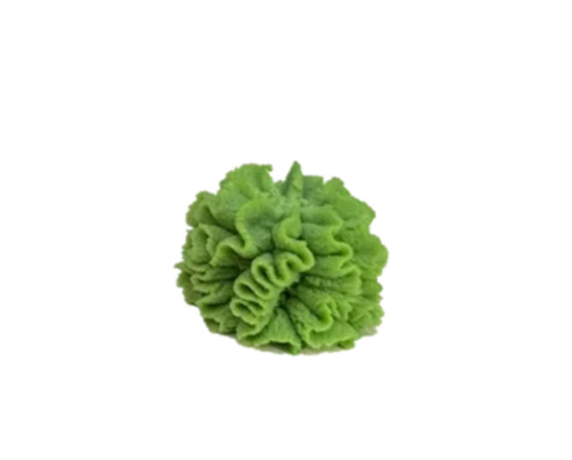 Фото Васаби